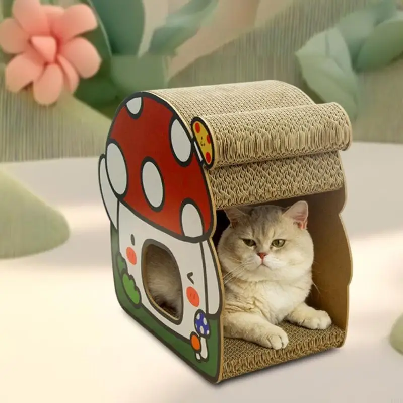 Котята играют в кровать с царапин
Котята играют в кровать с царапин