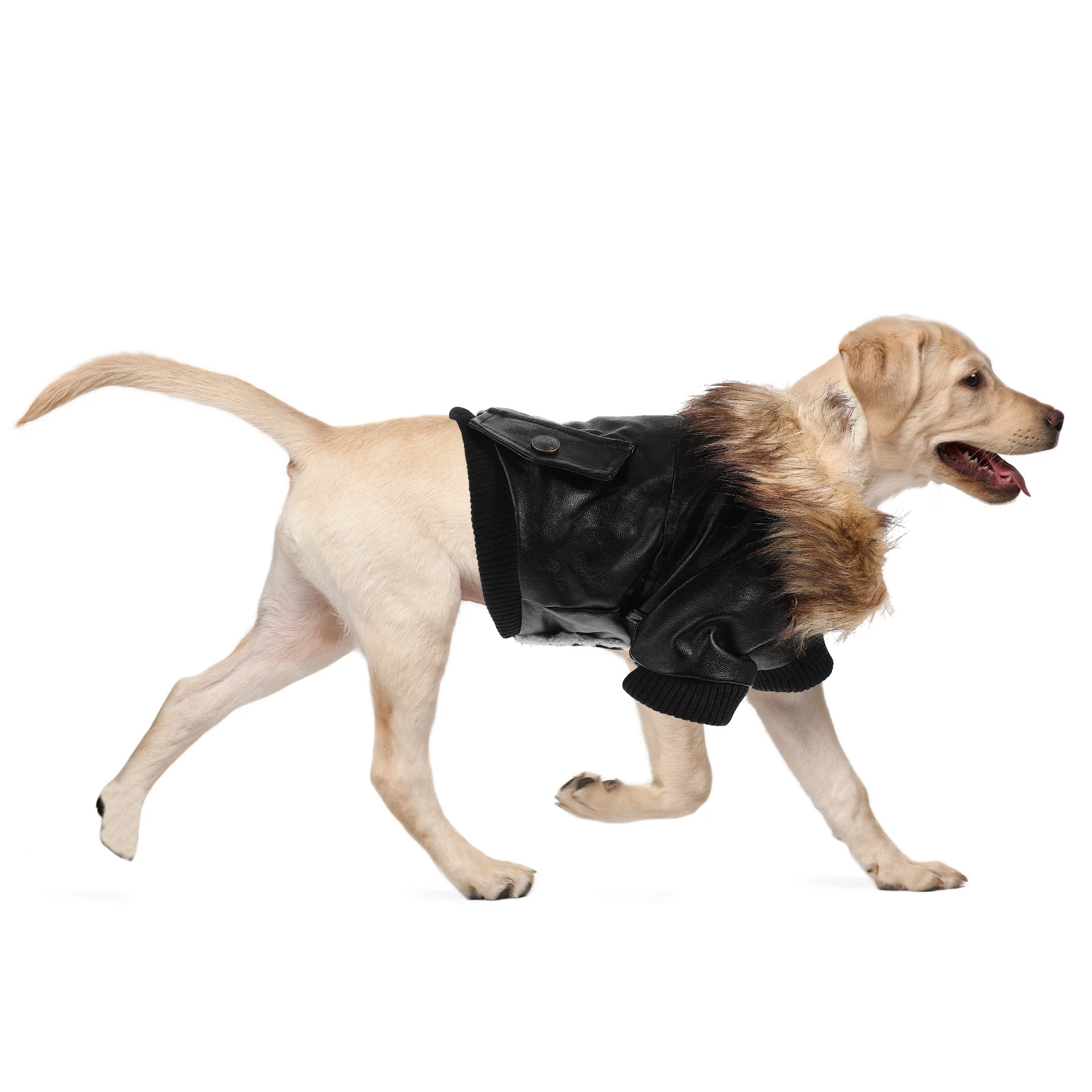 Puppy Accessories for Girl Dogs Jacket Small Coat Cold Weather Coats Fashionable Winter
Puppy Accessories for Girl Dogs Jacket Small Coat Cold Weather Coats Fashionable Winter
