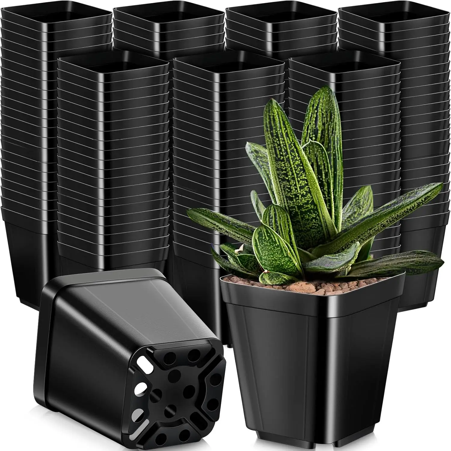500 Pcs 4" Square Black Plastic Nursery Pots with Drainage Holes, Indoor/Outdoor Plant Starter Pots for Succulents, Flow
500 Pcs 4" Square Black Plastic Nursery Pots with Drainage Holes, Indoor/Outdoor Plant Starter Pots for Succulents, Flow