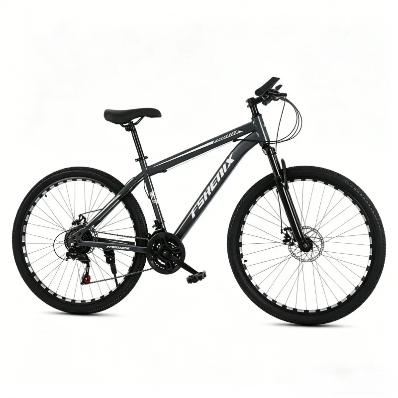 Adult 21-Speed Mountain Bike 24/26 Inch Gray Shock Absorption Off-Road Commuter Bicycle for Men Women College Students
Adult 21-Speed Mountain Bike 24/26 Inch Gray Shock Absorption Off-Road Commuter Bicycle for Men Women College Students