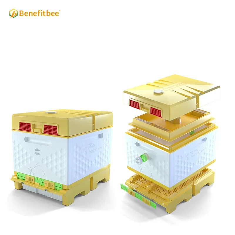 Apicultura Dadant Bee Hive 12 Frame Wooden Beehive Box Standard Beekeeping Equipment for Beekeepers Apiary
Apicultura Dadant Bee Hive 12 Frame Wooden Beehive Box Standard Beekeeping Equipment for Beekeepers Apiary