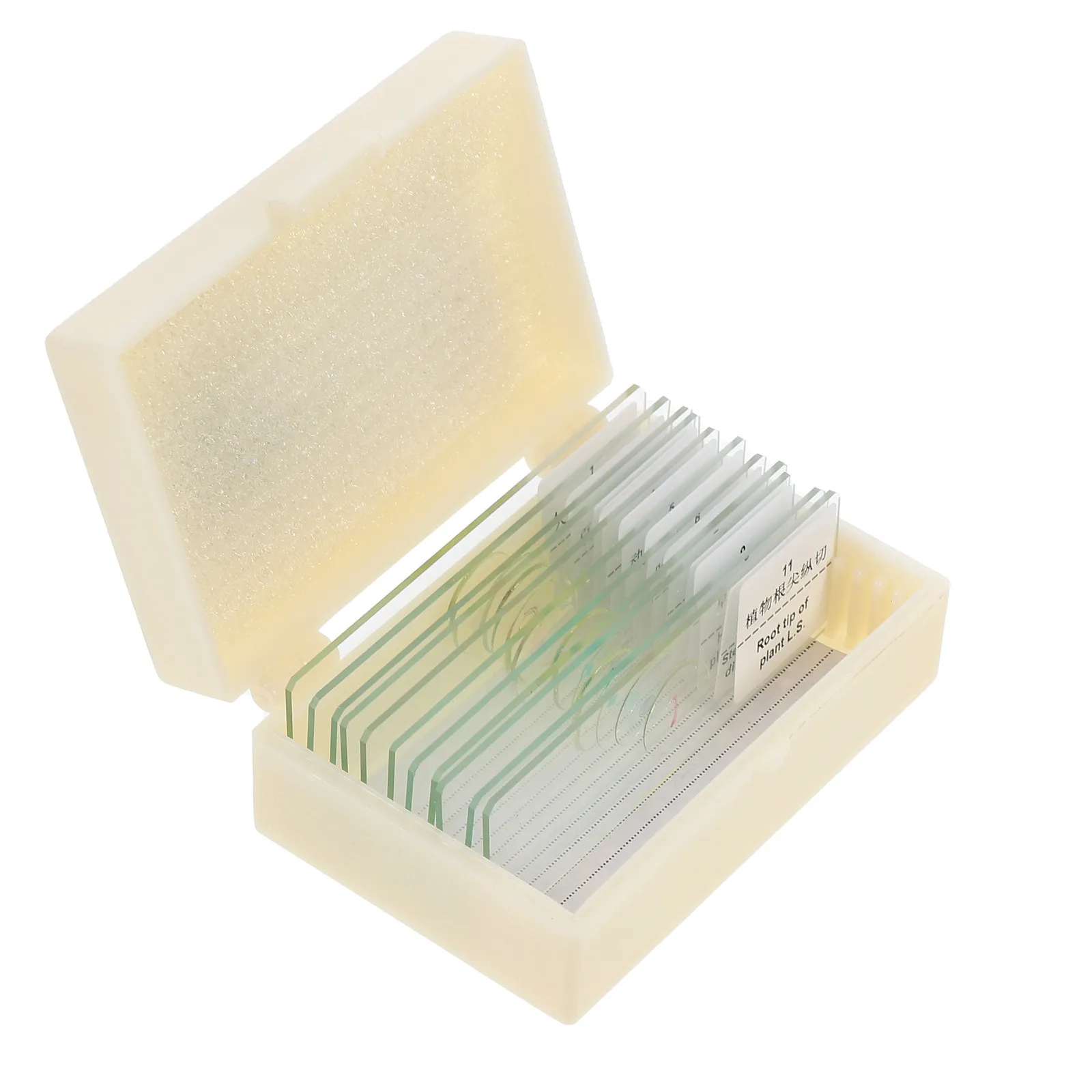 1Set Glass Microscope Slides Bioexperiment Object Slide Smooth Edges Laboratory Supplies Biology Class Education Props
1Set Glass Microscope Slides Bioexperiment Object Slide Smooth Edges Laboratory Supplies Biology Class Education Props