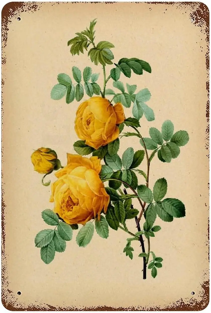 Creative Vintage Decorative Sign Vintage Rose Sign Botanical Tin Sign Garden Flower Sign Floral Decor Antique Flowers
Creative Vintage Decorative Sign Vintage Rose Sign Botanical Tin Sign Garden Flower Sign Floral Decor Antique Flowers