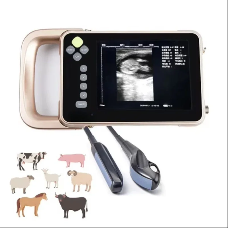 Veterinary Wired B-ultrasound, HD B-ultrasound Touch Screen Fan-scanning Ultrasound Diagnostic Instrument for Farms
Veterinary Wired B-ultrasound, HD B-ultrasound Touch Screen Fan-scanning Ultrasound Diagnostic Instrument for Farms