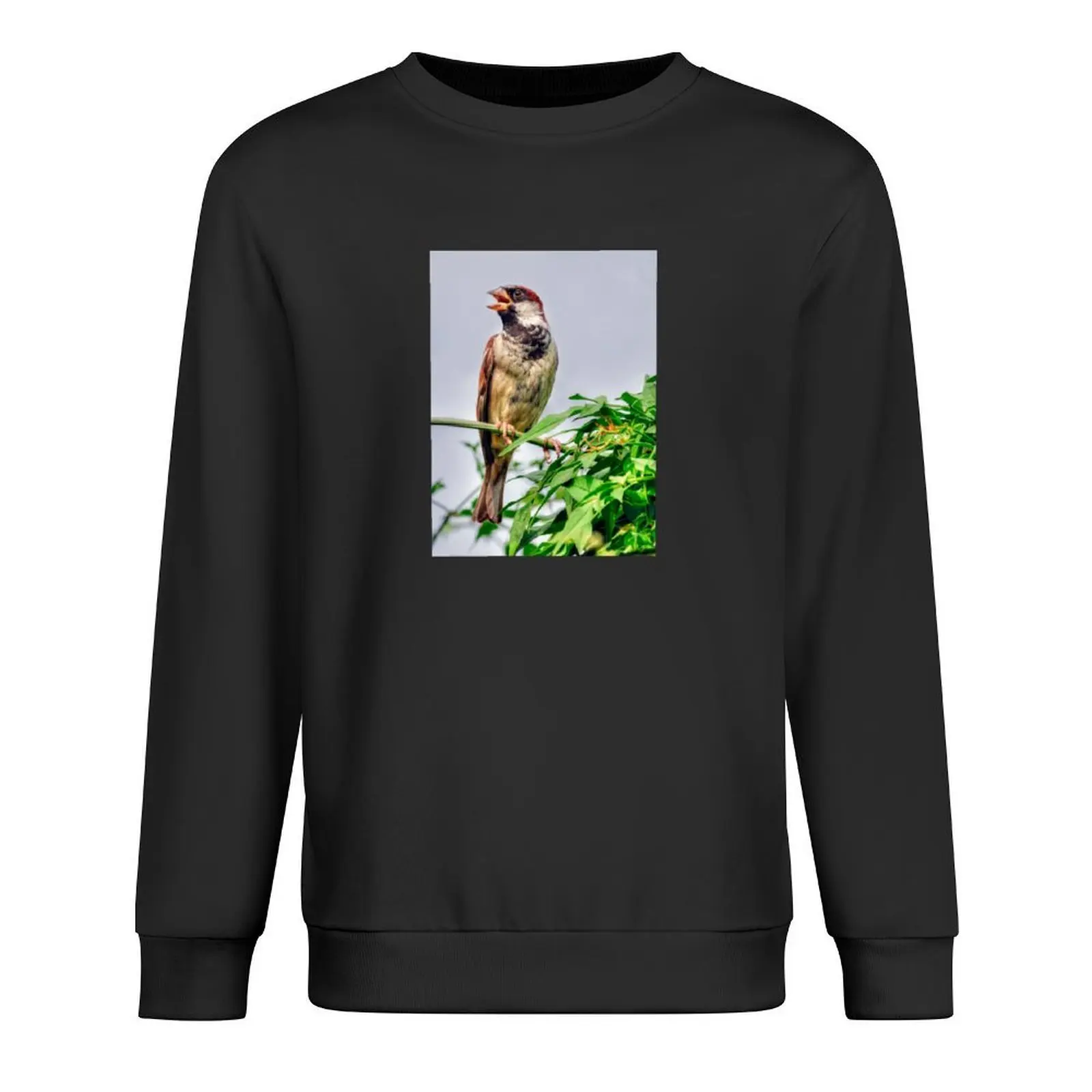 House Sparrow Pullover men's sweat-shirt anime clothing autumn new products men's coat sweatshirts men
House Sparrow Pullover men's sweat-shirt anime clothing autumn new products men's coat sweatshirts men