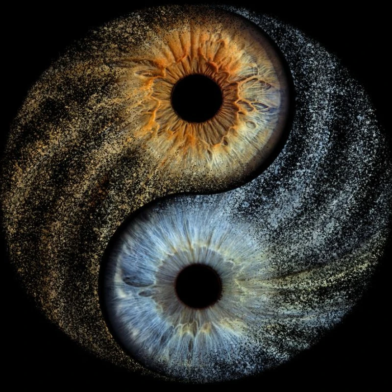 500PCS/1024 PCS Jigsaw Puzzles Alien Eyeballs Abstract Challenging Family Activity Game for Gameroom Bedroom Home Decor Gift
500PCS/1024 PCS Jigsaw Puzzles Alien Eyeballs Abstract Challenging Family Activity Game for Gameroom Bedroom Home Decor Gift