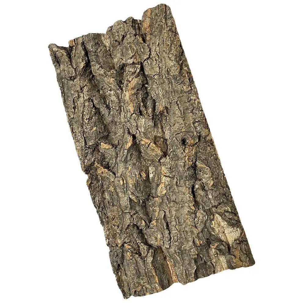 Pet Fish Tank Landscaping Reptile Terrarium Bark Background Animal Climbing for Aquarium
Pet Fish Tank Landscaping Reptile Terrarium Bark Background Animal Climbing for Aquarium