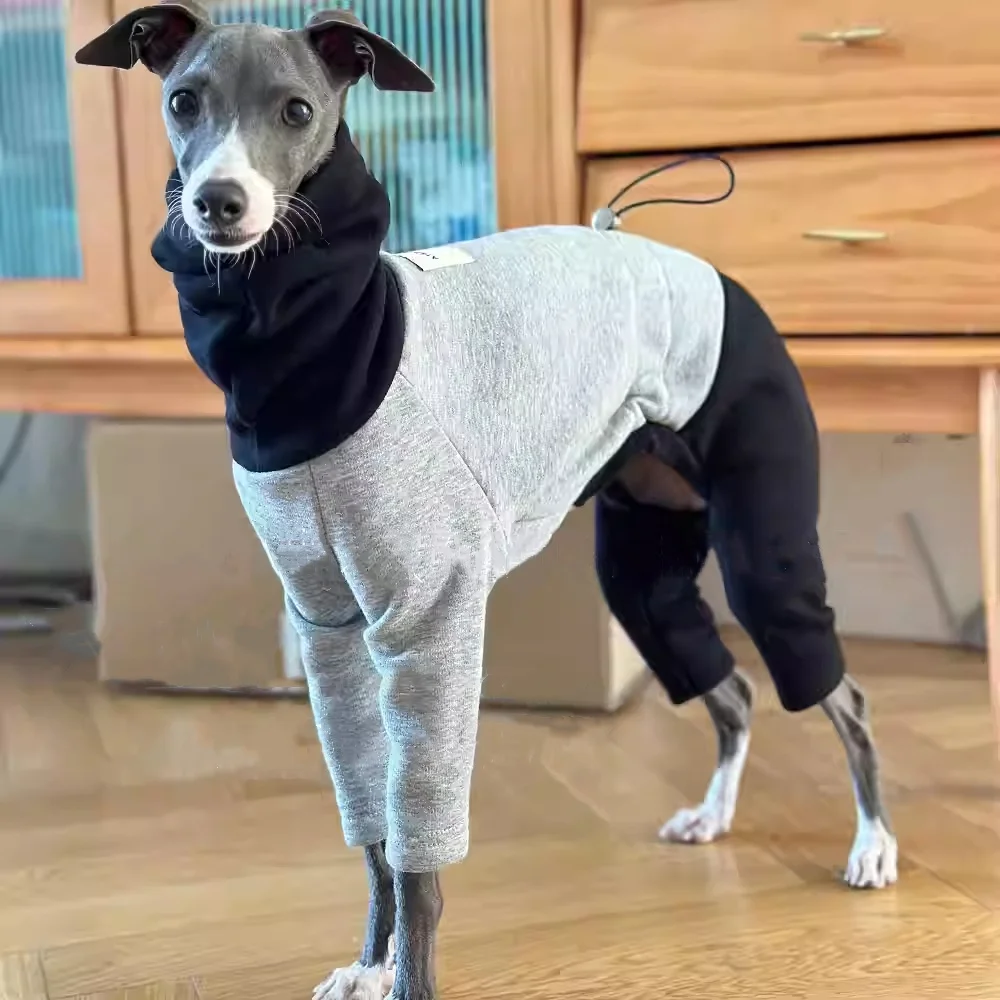 Italy Greyhound Clothing 4-legged High-Neck Grey Black Sweatshirt Winter Coat for Poodle Autumn Soft Loungewear for Mid Dogs
Italy Greyhound Clothing 4-legged High-Neck Grey Black Sweatshirt Winter Coat for Poodle Autumn Soft Loungewear for Mid Dogs