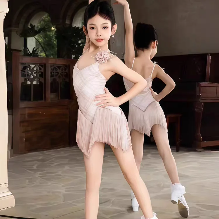 Girls' Pink Plaid Latin Dance Performance Dress Autumn New Irregular Tassel Dress with Long Sleeve Cover-up for Kids
Girls' Pink Plaid Latin Dance Performance Dress Autumn New Irregular Tassel Dress with Long Sleeve Cover-up for Kids