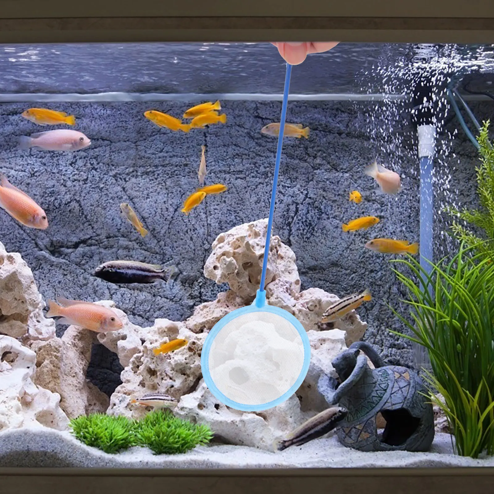 10pcs For Aquarium Scoop Lightweight Portable Durable Sturdy Design Fish Landing Net For Tank Use Aquarium Fishing
10pcs For Aquarium Scoop Lightweight Portable Durable Sturdy Design Fish Landing Net For Tank Use Aquarium Fishing