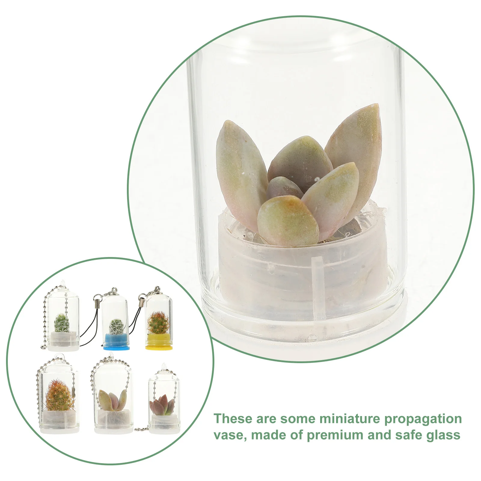 6Pcs Miniature Planter Pendant Hanging Glass Terrarium Keychain Accessories Clear Vase Plant Starter Vases Hanging Glass Planter
6Pcs Miniature Planter Pendant Hanging Glass Terrarium Keychain Accessories Clear Vase Plant Starter Vases Hanging Glass Planter