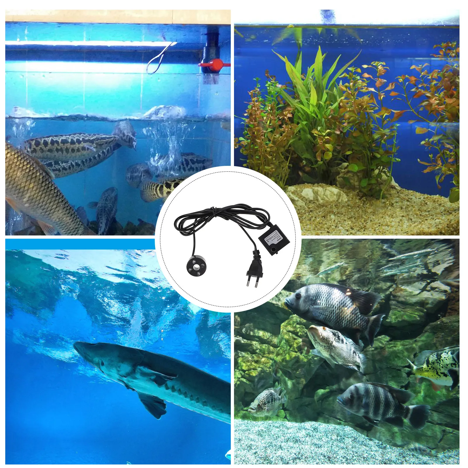 3W LED Water Pump Adjustable Flow Submersible for Fish Tank Aquarium Fountain Pond Desktop Water Garden Hydroponics Low Noise
3W LED Water Pump Adjustable Flow Submersible for Fish Tank Aquarium Fountain Pond Desktop Water Garden Hydroponics Low Noise