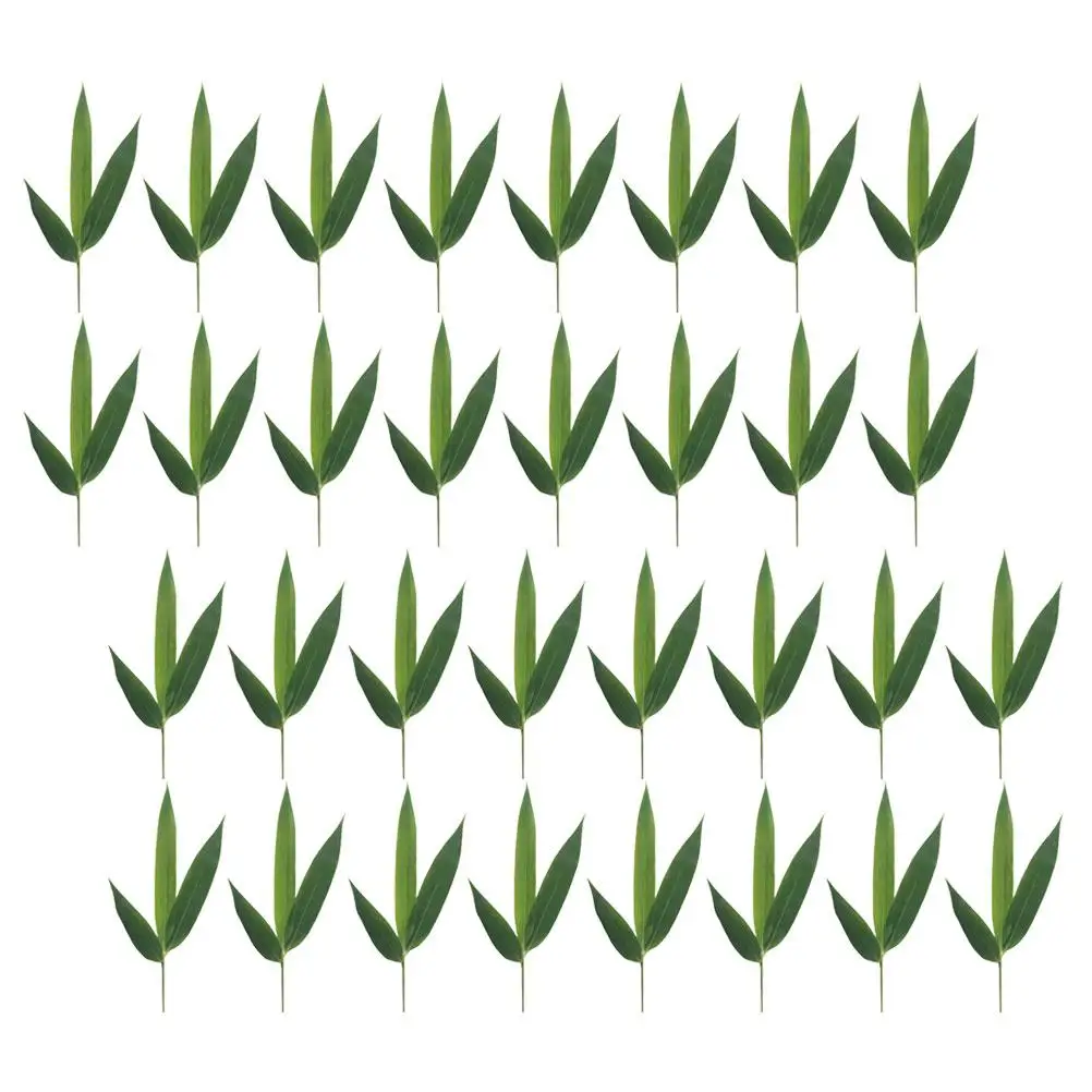 100 Pcs Bamboo Leaves Decoration Leaf Ornament Sushi Plate Banana for Cooking Decorations Tea
100 Pcs Bamboo Leaves Decoration Leaf Ornament Sushi Plate Banana for Cooking Decorations Tea