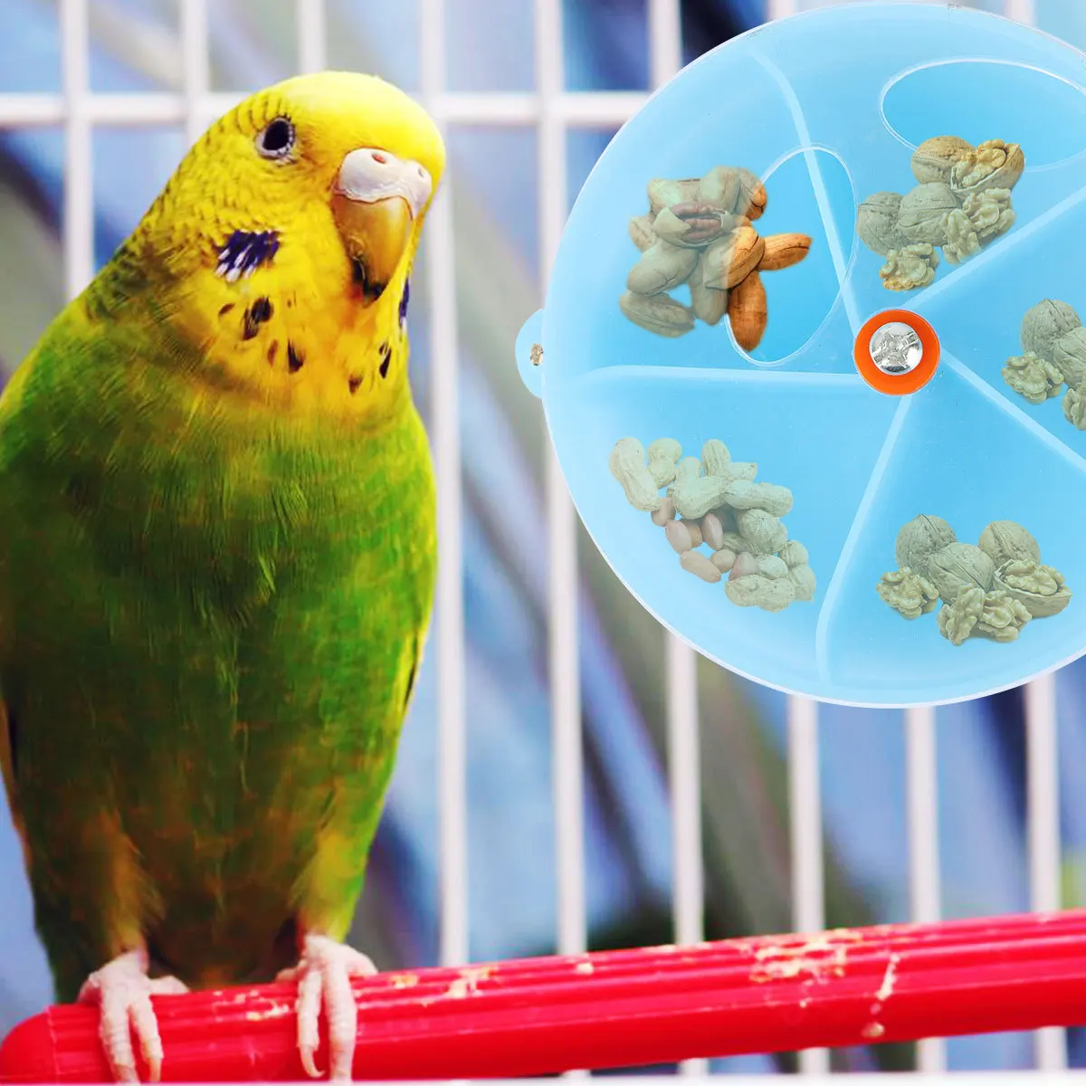 Creative Parrot Foraging Box Interactive Bird Feeder Educational Parrot Bowl Chew For Mini Macaw Cockatiel Conure
Creative Parrot Foraging Box Interactive Bird Feeder Educational Parrot Bowl Chew For Mini Macaw Cockatiel Conure
