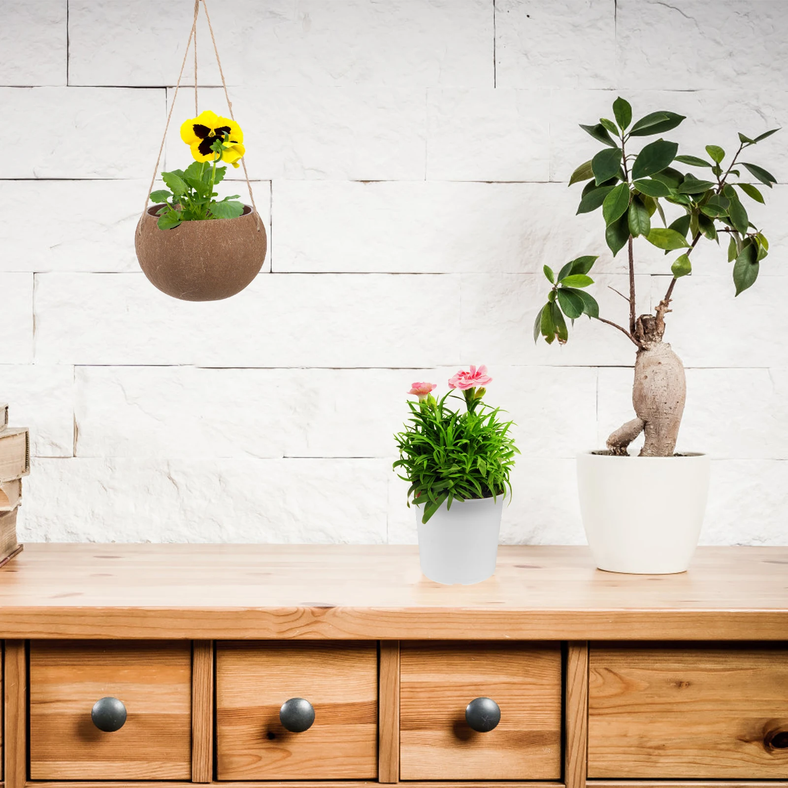 Coconut Shell Hanging Flower Pot 1Pc Breathable Planter Basket for Plants Decorative Wall Mount
Coconut Shell Hanging Flower Pot 1Pc Breathable Planter Basket for Plants Decorative Wall Mount