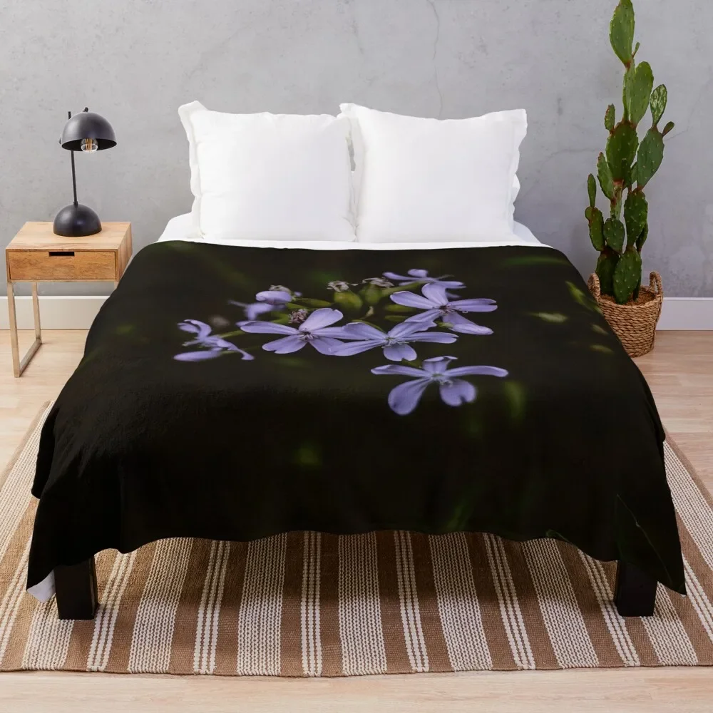 Dark Soapwort Throw Blanket Wrinkle Resistant Lightweight Blanket
Dark Soapwort Throw Blanket Wrinkle Resistant Lightweight Blanket