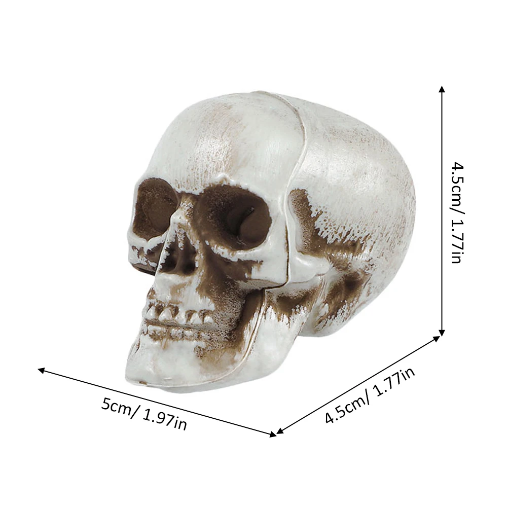 10pcs Halloween Head Models Realistic Fake Skulls For Party Decor Scary Props Festival Decoration Haunted House
10pcs Halloween Head Models Realistic Fake Skulls For Party Decor Scary Props Festival Decoration Haunted House