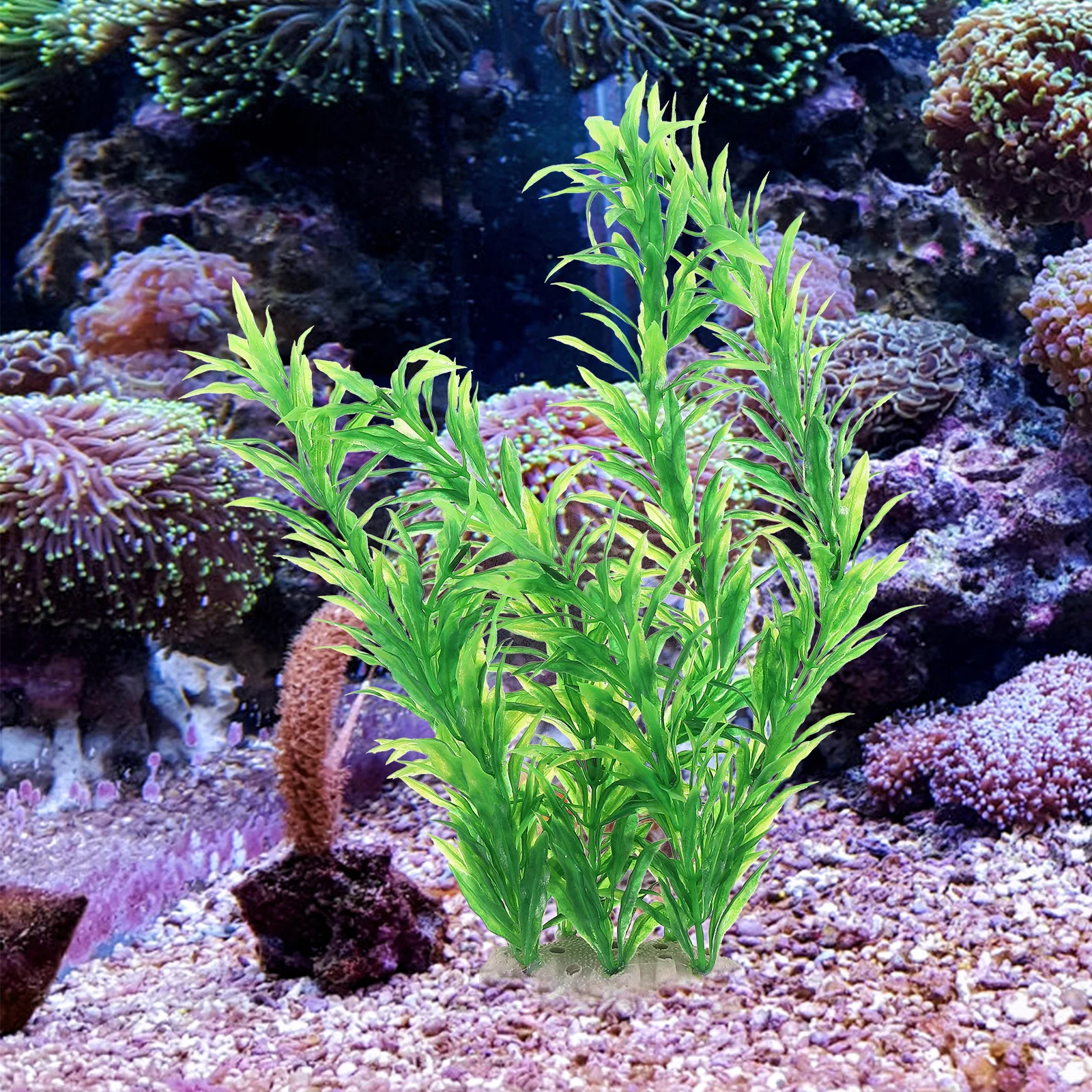 5 Pcs Water Plants Decoration Set Fish Tank Plastic Flowers for Accessories Aquarium Landscape Artificial Lifelike
5 Pcs Water Plants Decoration Set Fish Tank Plastic Flowers for Accessories Aquarium Landscape Artificial Lifelike