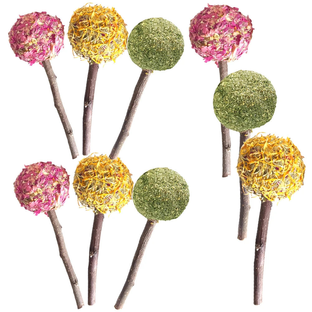 9pcs Pet Chew Toys Rabbit Teething Toys Hamster Guinea Pig Biting Playthings Natural Small Animal Chewing Sticks Tooth Molar
9pcs Pet Chew Toys Rabbit Teething Toys Hamster Guinea Pig Biting Playthings Natural Small Animal Chewing Sticks Tooth Molar