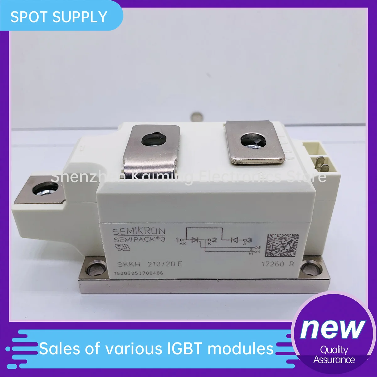 SKKH210/20E SKKH250/16E SKKT253/18 SKKT260/08 SKKT260/12 SKKT380/08 SKKT380/12
SKKH210/20E SKKH250/16E SKKT253/18 SKKT260/08 SKKT260/12 SKKT380/08 SKKT380/12