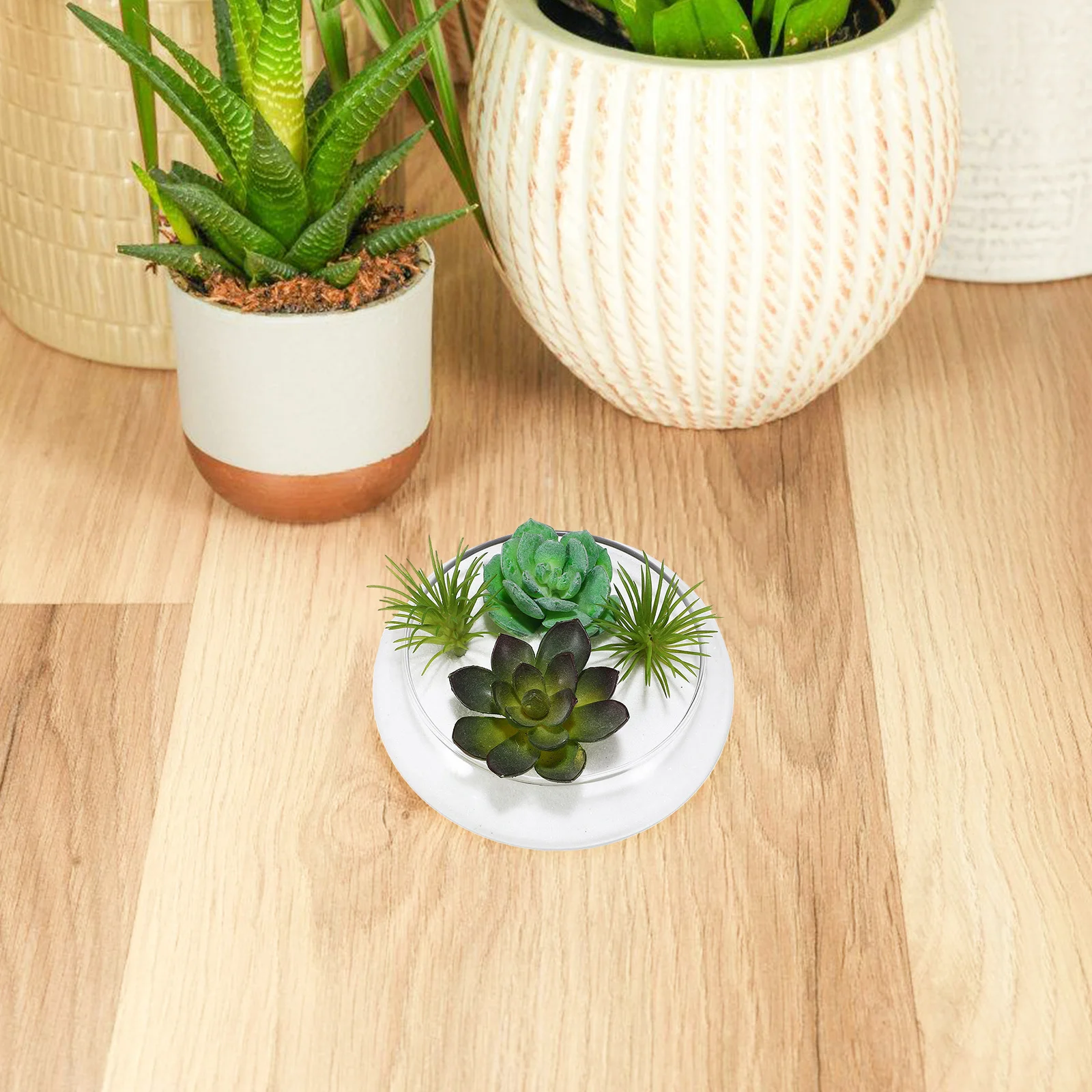 Glass Planter Pot Clear Small Flowerpot Succulent Planter for Indoor Garden Office Balcony Desktop Decorative Fish Bowl
Glass Planter Pot Clear Small Flowerpot Succulent Planter for Indoor Garden Office Balcony Desktop Decorative Fish Bowl