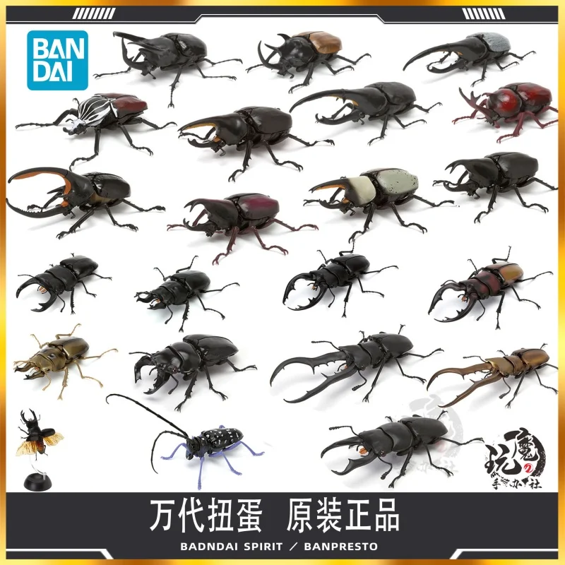 Bandai Gashapon Simulated Stag Beetle Realistic Hercules Beetle Insect Action Figure Model Display For Adult Collectors
Bandai Gashapon Simulated Stag Beetle Realistic Hercules Beetle Insect Action Figure Model Display For Adult Collectors