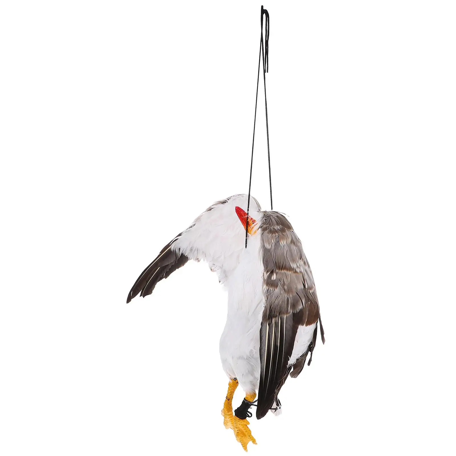 Simulation Dead 46x14cm Wingspan 50cm Home Outdoor Decor Durable Plastic Real Dead Seagull Ornament Ornament
Simulation Dead 46x14cm Wingspan 50cm Home Outdoor Decor Durable Plastic Real Dead Seagull Ornament Ornament
