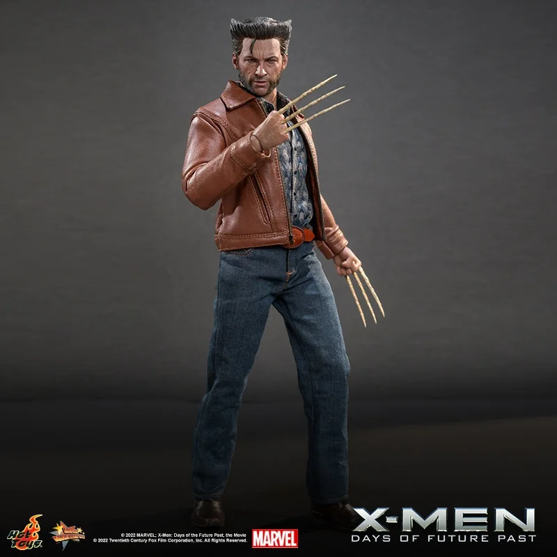 Special Edition HotToys X-Men Wolverine 1973 Standard Deluxe 1:6 Scale Collectible Figure
Special Edition HotToys X-Men Wolverine 1973 Standard Deluxe 1:6 Scale Collectible Figure