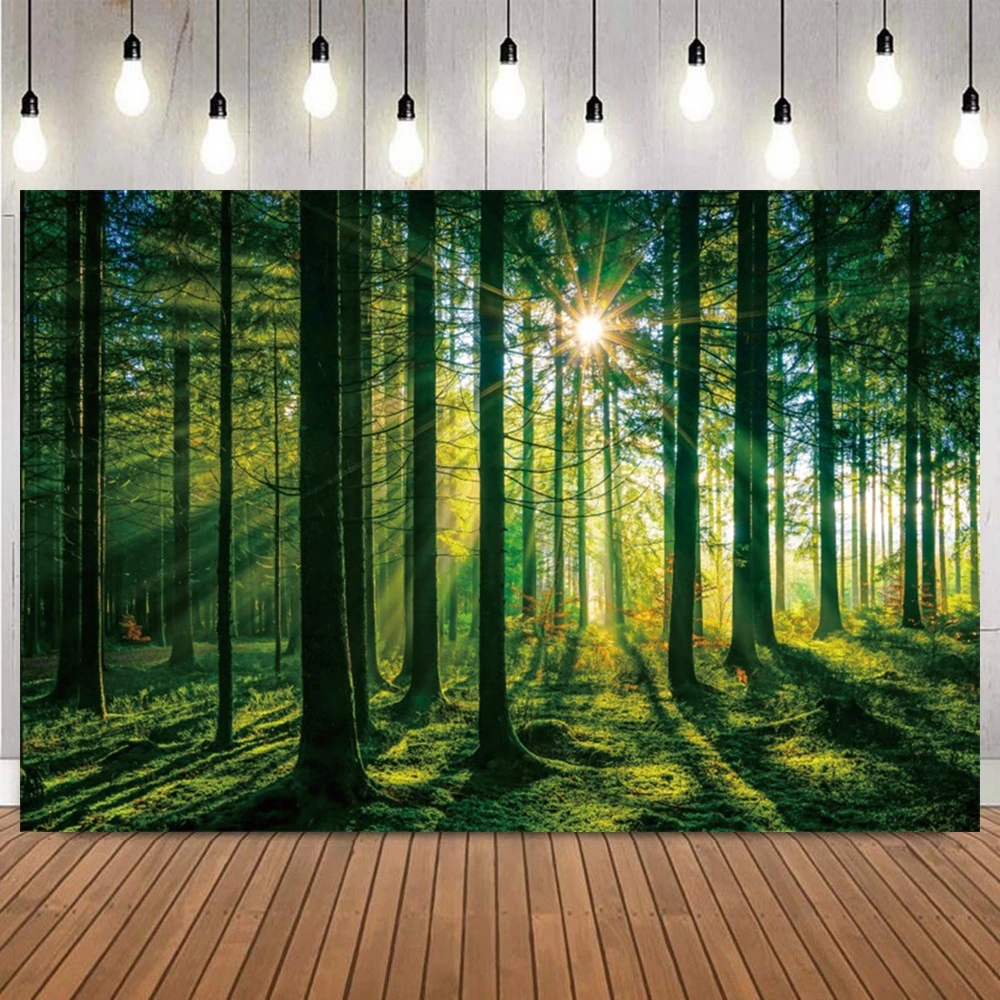 Красный лес папоротник дорожка фон для фотосъемки тропический лес дорожка природный пейзаж кемпинг приключения портрет деко фото фон
Красный лес папоротник дорожка фон для фотосъемки тропический лес дорожка природный пейзаж кемпинг приключения портрет деко фото фон