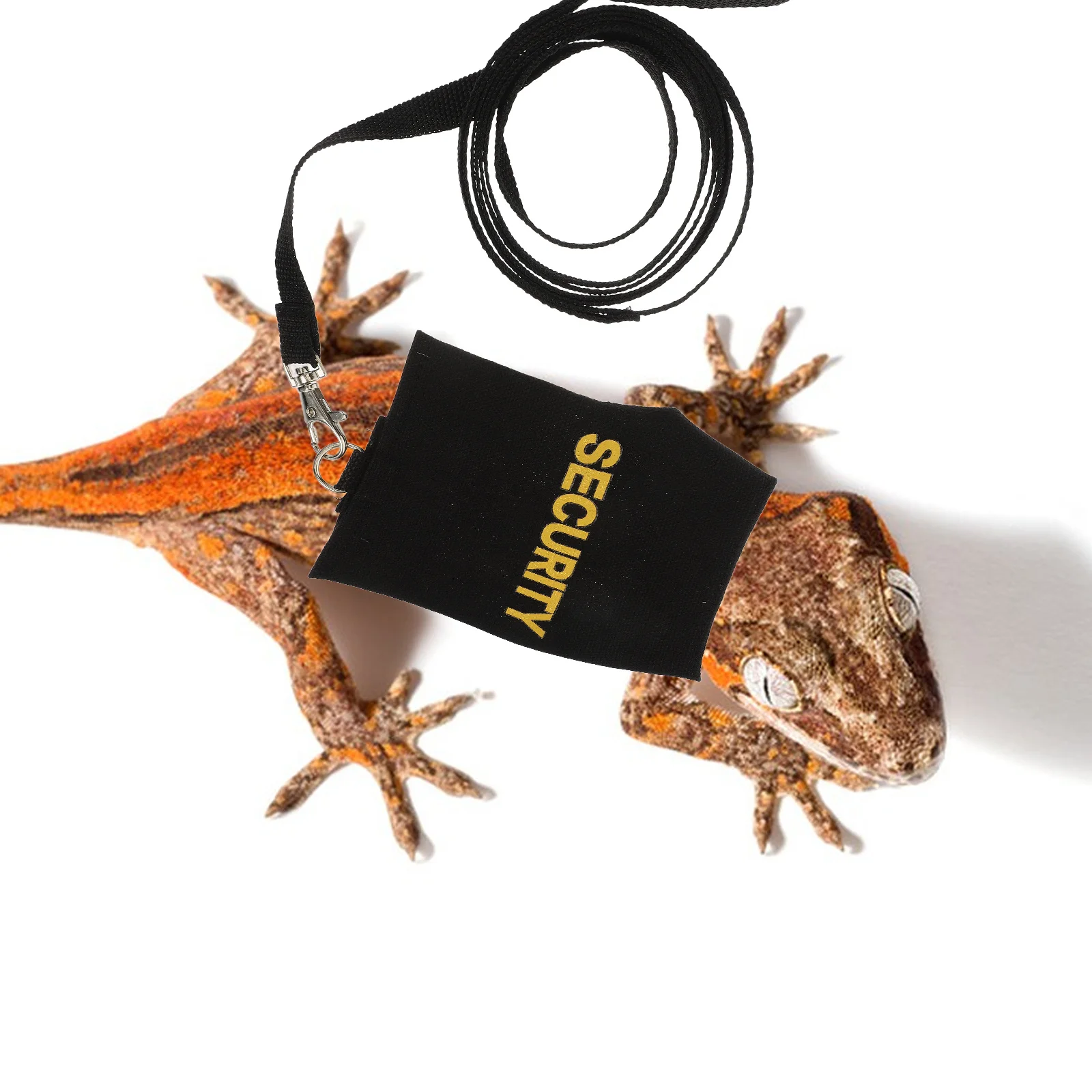1Set Comfortable Adjustable Lizard Leash Bearded Dragon Harness Reptile Walking Rope Small Pet Outdoor Gear Lizard Leash Harness
1Set Comfortable Adjustable Lizard Leash Bearded Dragon Harness Reptile Walking Rope Small Pet Outdoor Gear Lizard Leash Harness