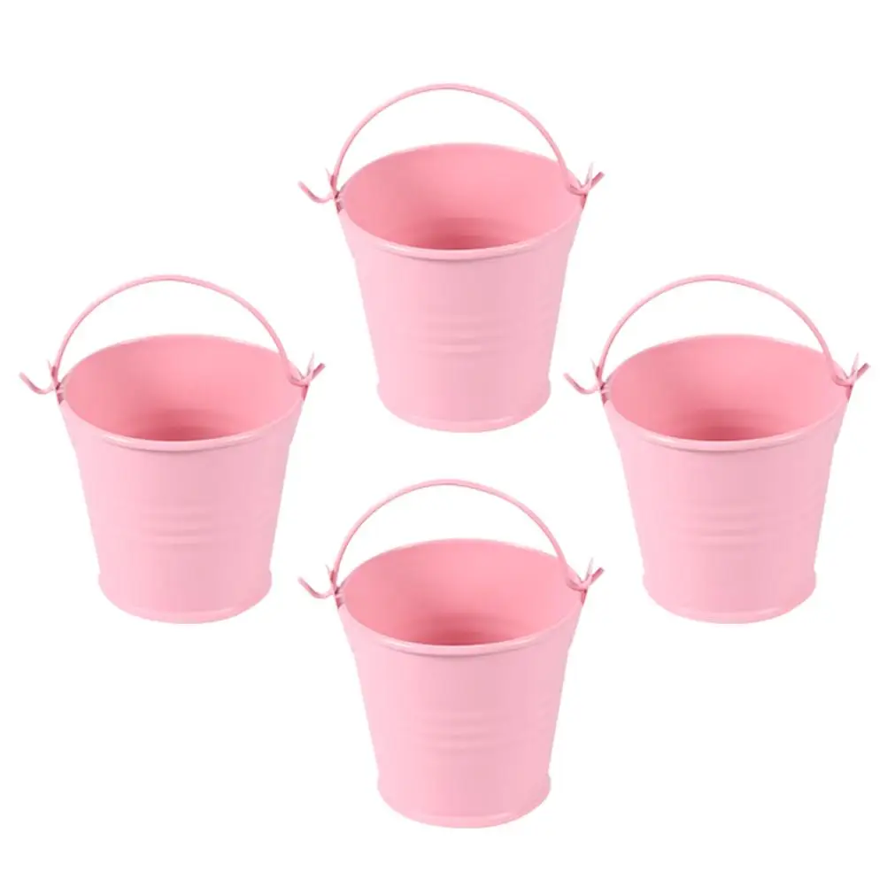 4 Pcs Flowerpot Mini Bucket Child Succulent Planters with Trellis Iron Tin Pails Small
4 Pcs Flowerpot Mini Bucket Child Succulent Planters with Trellis Iron Tin Pails Small