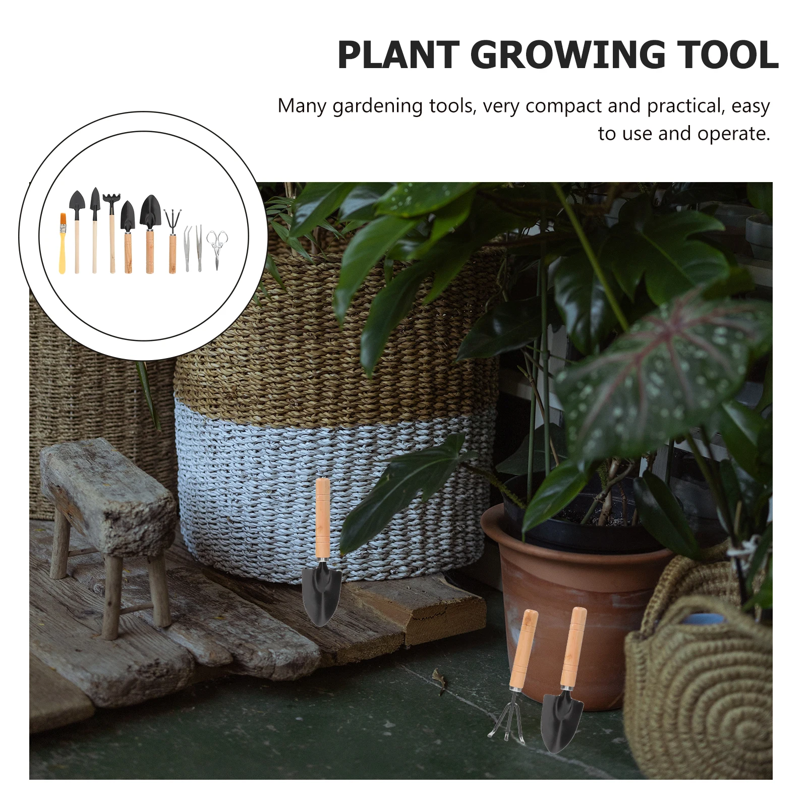 Compact Planting Tools Kit Sturdy Wood Iron Shovel Fork Trowel Succulent Bonsai Transplanting Supplies Flower Growing Safe
Compact Planting Tools Kit Sturdy Wood Iron Shovel Fork Trowel Succulent Bonsai Transplanting Supplies Flower Growing Safe