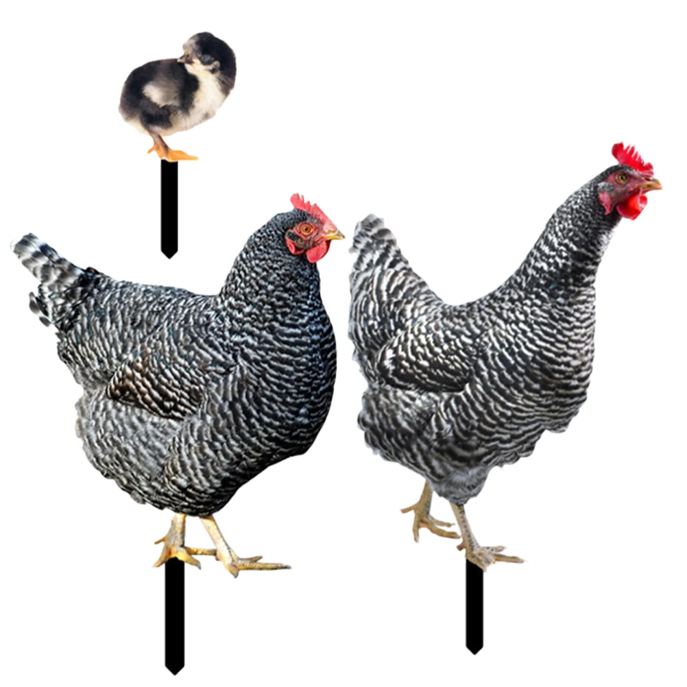3pcs Acrylic Garden Decoration Outdoor Lawn Ornaments Sculpture Stake Chicken Stakes Durable Realistic Weather Resistant
3pcs Acrylic Garden Decoration Outdoor Lawn Ornaments Sculpture Stake Chicken Stakes Durable Realistic Weather Resistant