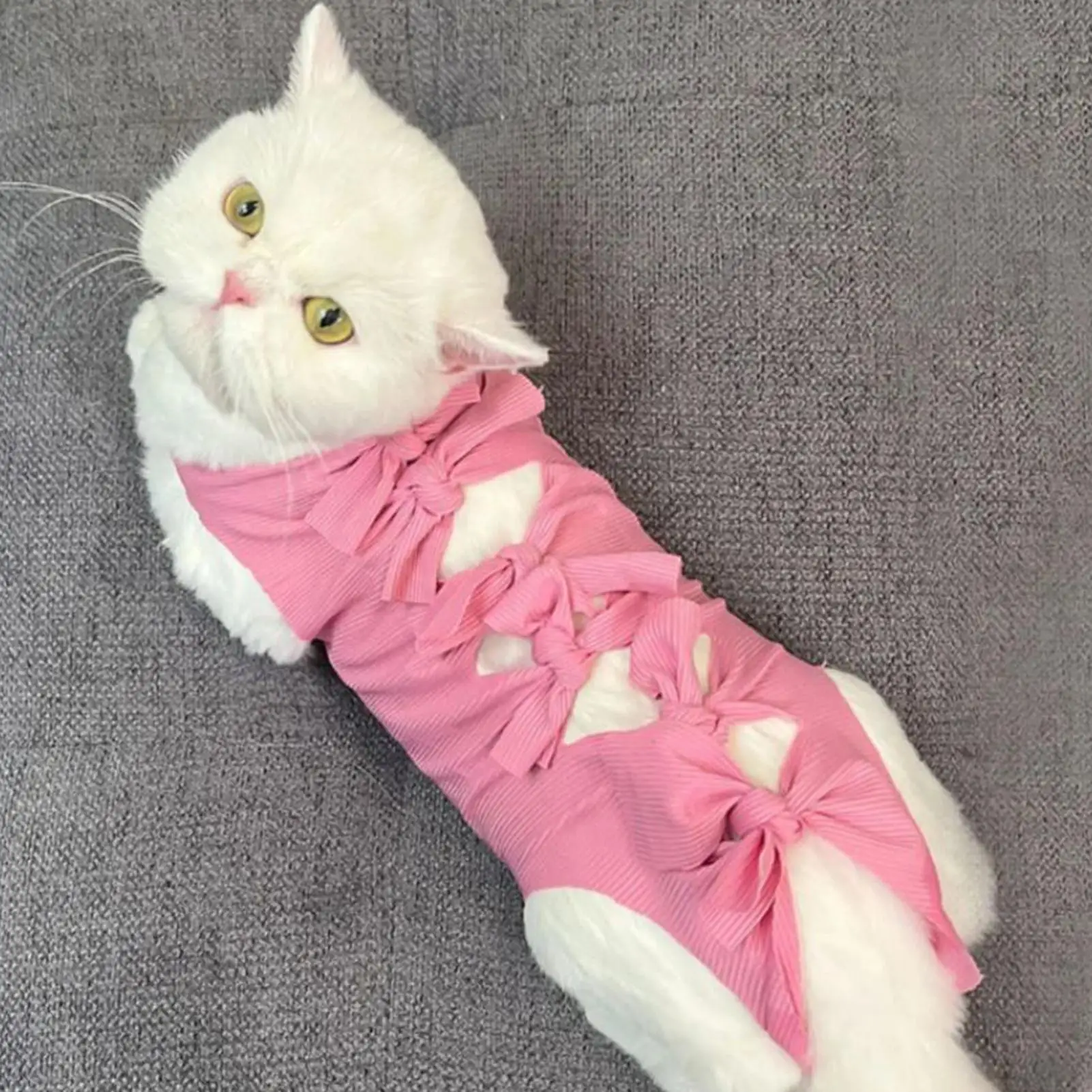 Cat Onesie for After Surgical Female Breathable Cat Body Suit Post Surgical Soft Onesie for Wound Lick Prevention Pet Indoor
Cat Onesie for After Surgical Female Breathable Cat Body Suit Post Surgical Soft Onesie for Wound Lick Prevention Pet Indoor