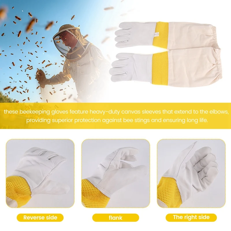 ABHG-Beekeeping Gloves Beekeeping Tools White Leather Golden Yellow Mesh Short Mesh Breathable Gloves Bee Protection Tools
ABHG-Beekeeping Gloves Beekeeping Tools White Leather Golden Yellow Mesh Short Mesh Breathable Gloves Bee Protection Tools
