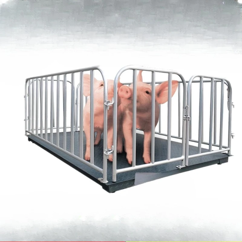 Грунтовые весы для свиней крупного рогатого скота и овец с ограждением 1-3 тонны 5 тонн
Грунтовые весы для свиней крупного рогатого скота и овец с ограждением 1-3 тонны 5 тонн