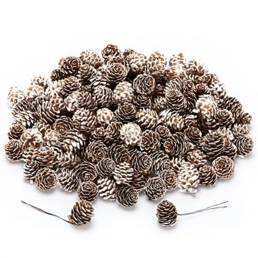 168 Pcs Mini Pine Cone Kit with Brown Iron Wires for DIY - 0.6"-1.2" Small Pinecones Ornaments Bulk for Crafts, Vase Filler, Wr
168 Pcs Mini Pine Cone Kit with Brown Iron Wires for DIY - 0.6"-1.2" Small Pinecones Ornaments Bulk for Crafts, Vase Filler, Wr