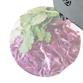 Electric Vegetable Silkcutter Machine Onion Cabbage Purple Cabbage Cabbage Shredder
Electric Vegetable Silkcutter Machine Onion Cabbage Purple Cabbage Cabbage Shredder
