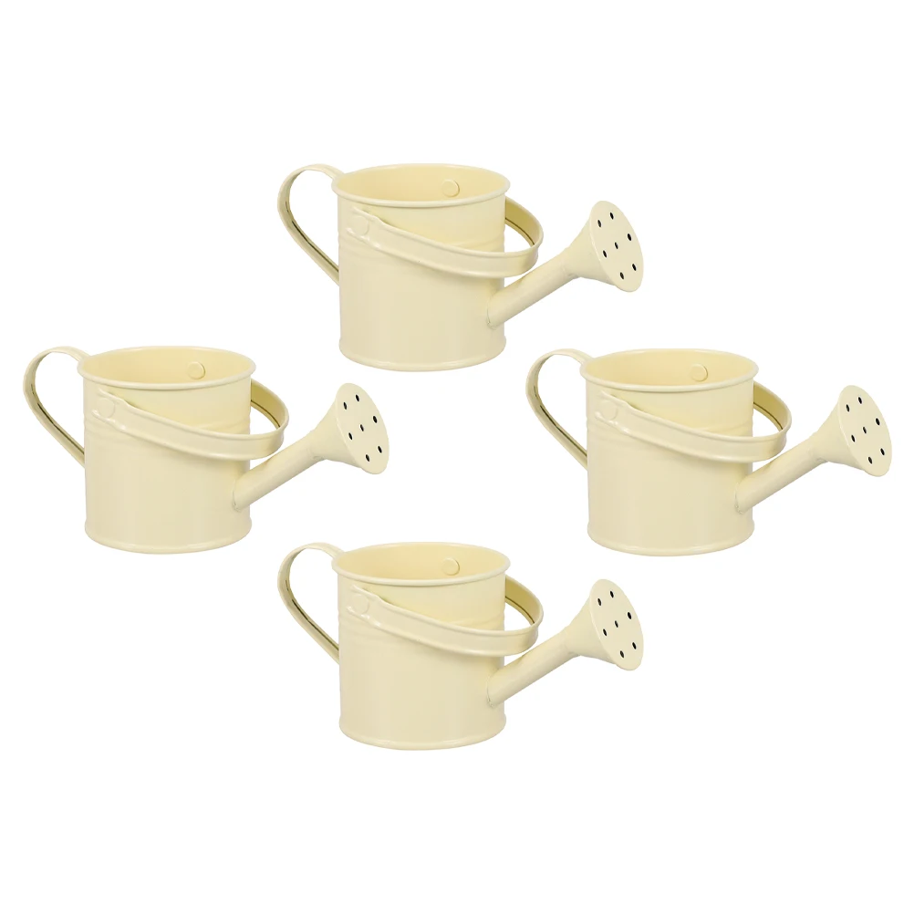 4 Pcs Iron Watering Pot Large Watering Bottle Capacity Ergonomic H For Plants Garden Supplies
4 Pcs Iron Watering Pot Large Watering Bottle Capacity Ergonomic H For Plants Garden Supplies