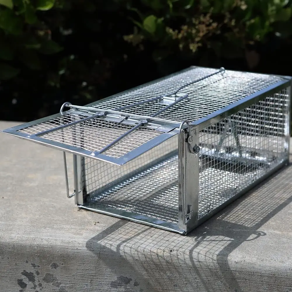 Live Humane Cage Trap for Squirrel Mouse Rat Mice Rodent Animal Catcher for Indoor and Outdoor Small Animal
Live Humane Cage Trap for Squirrel Mouse Rat Mice Rodent Animal Catcher for Indoor and Outdoor Small Animal