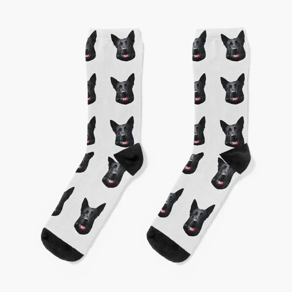 Black German Shepherd Dog - Stunning! Socks set cotton Children's Socks Female Men's
Black German Shepherd Dog - Stunning! Socks set cotton Children's Socks Female Men's