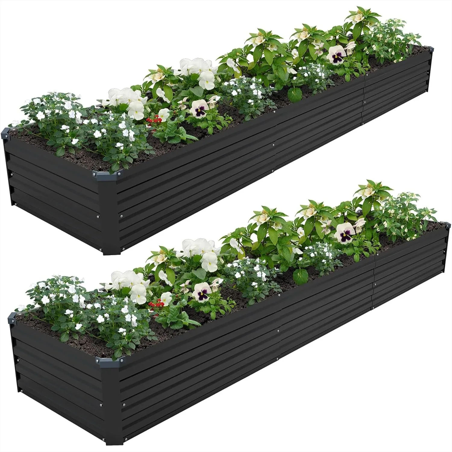 12x2x1FT Galvanized Raised Garden Bed Kit with Open Base for Vegetables, Flowers, Herbs - Black
12x2x1FT Galvanized Raised Garden Bed Kit with Open Base for Vegetables, Flowers, Herbs - Black
