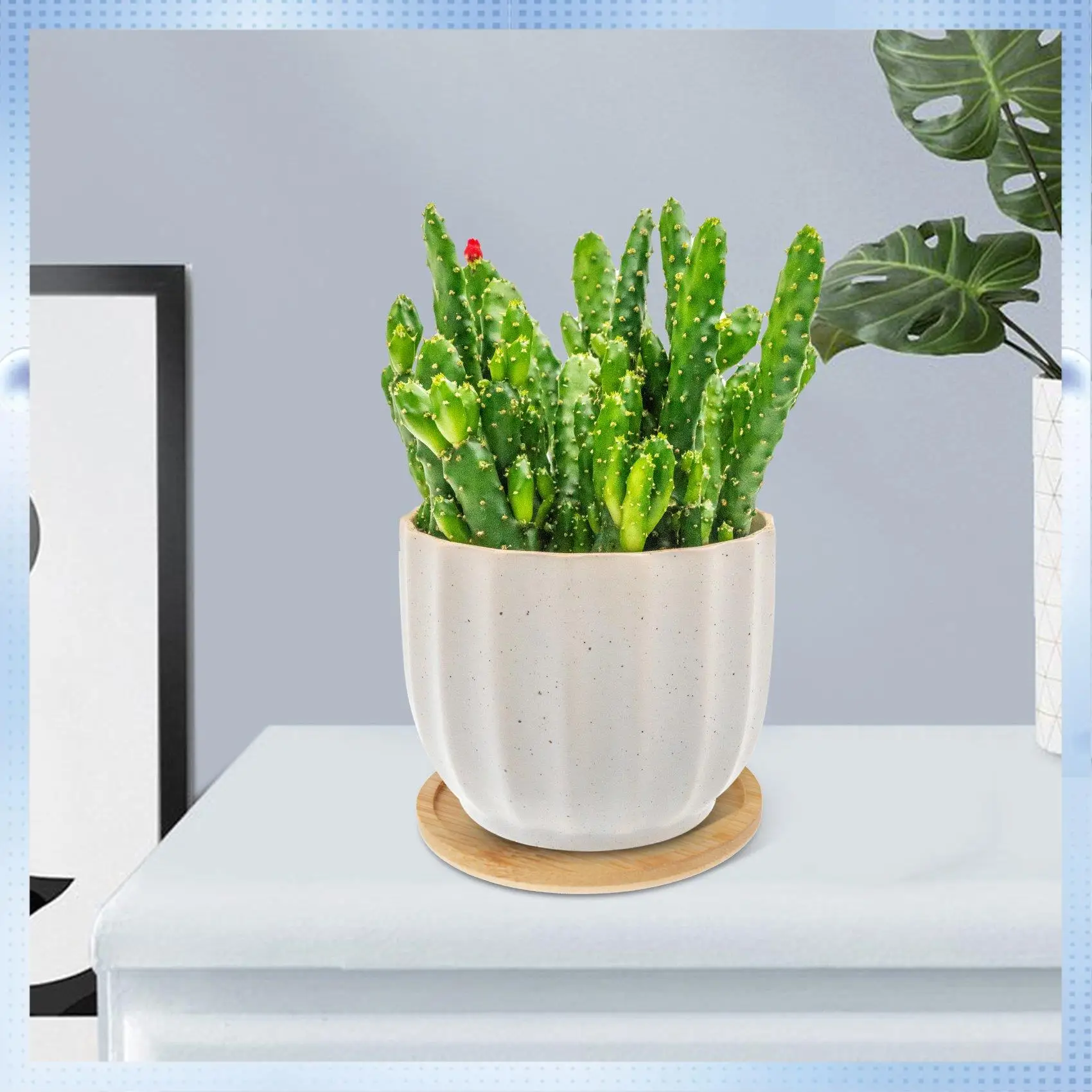 AD-Bamboo Plant Saucer 3.3 Inch Succulent Pot Tray Flower Plant Holder, Round Drainage Tray 12 Pack
AD-Bamboo Plant Saucer 3.3 Inch Succulent Pot Tray Flower Plant Holder, Round Drainage Tray 12 Pack