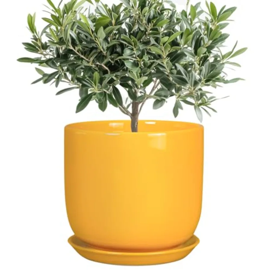Ceramic Plant Pot - Decorative Modern Round Indoor Planter for Plants Flowers with Drainage Hole and Saucer House Desk Office H
Ceramic Plant Pot - Decorative Modern Round Indoor Planter for Plants Flowers with Drainage Hole and Saucer House Desk Office H