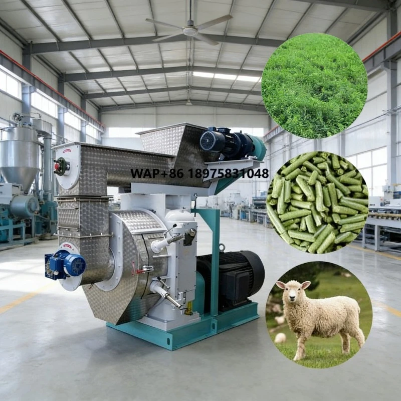 SZLH508M 5 T/H New Livestock Feed Production Equipment 304 Stainless Steel High Productivity Feed Pellet Machine
SZLH508M 5 T/H New Livestock Feed Production Equipment 304 Stainless Steel High Productivity Feed Pellet Machine