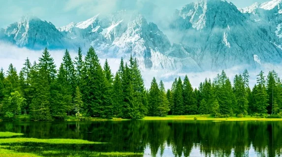 SKYZONE Steadyview V3.3 Receiver for FPV Goggles
SKYZONE Steadyview V3.3 Receiver for FPV Goggles