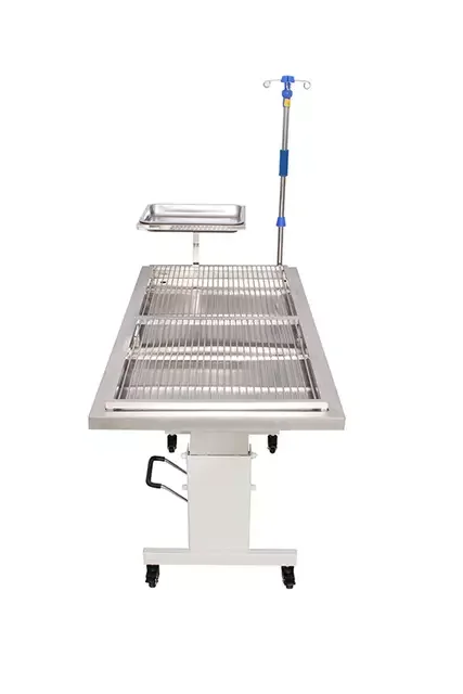 Portable Stainless Steel Hydraulic Examination Table Orthopedic Veterinary Surgical Instrument for Pets
Portable Stainless Steel Hydraulic Examination Table Orthopedic Veterinary Surgical Instrument for Pets