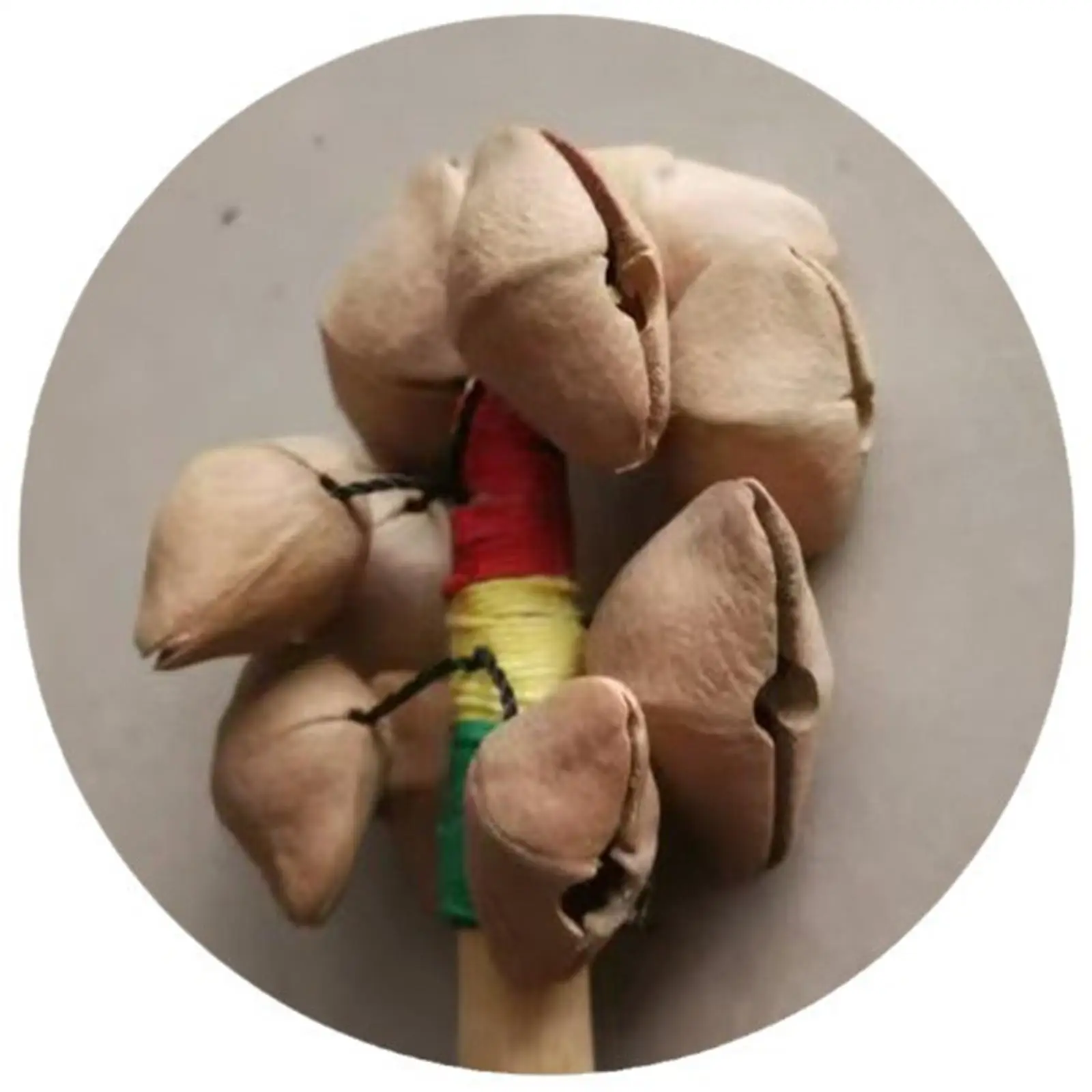Nut Shell Shaker Hand Bell Percussion Compact Musical Instrument Accessories Gift with Wood Handle for Parties Beginners Kids
Nut Shell Shaker Hand Bell Percussion Compact Musical Instrument Accessories Gift with Wood Handle for Parties Beginners Kids
