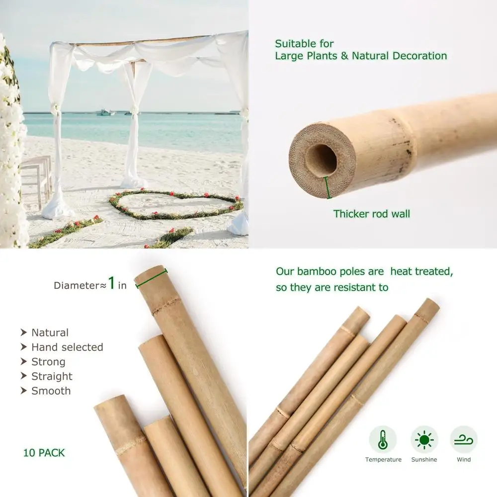 Бамбуковые опоры 8 футов, диаметр 1 дюйм, утолщенные садовые колышки, натуральные опоры для растений для томатов, огурцов, виноградной лозы
Бамбуковые опоры 8 футов, диаметр 1 дюйм, утолщенные садовые колышки, натуральные опоры для растений для томатов, огурцов, виноградной лозы