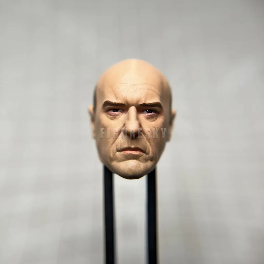 HL278 Customized 1/18 1/12 1/10 Hank Dean N Bad Painted Head Sculpt for 3.75" 6" 7" Figure SHF ML Mafex Mez NECA Mcf
HL278 Customized 1/18 1/12 1/10 Hank Dean N Bad Painted Head Sculpt for 3.75" 6" 7" Figure SHF ML Mafex Mez NECA Mcf